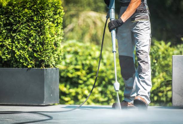 Best Driveway Pressure Washing  in Sea Cliff, NY