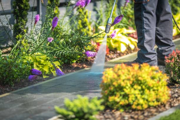 Best Restaurant Pressure Washing  in Sea Cliff, NY